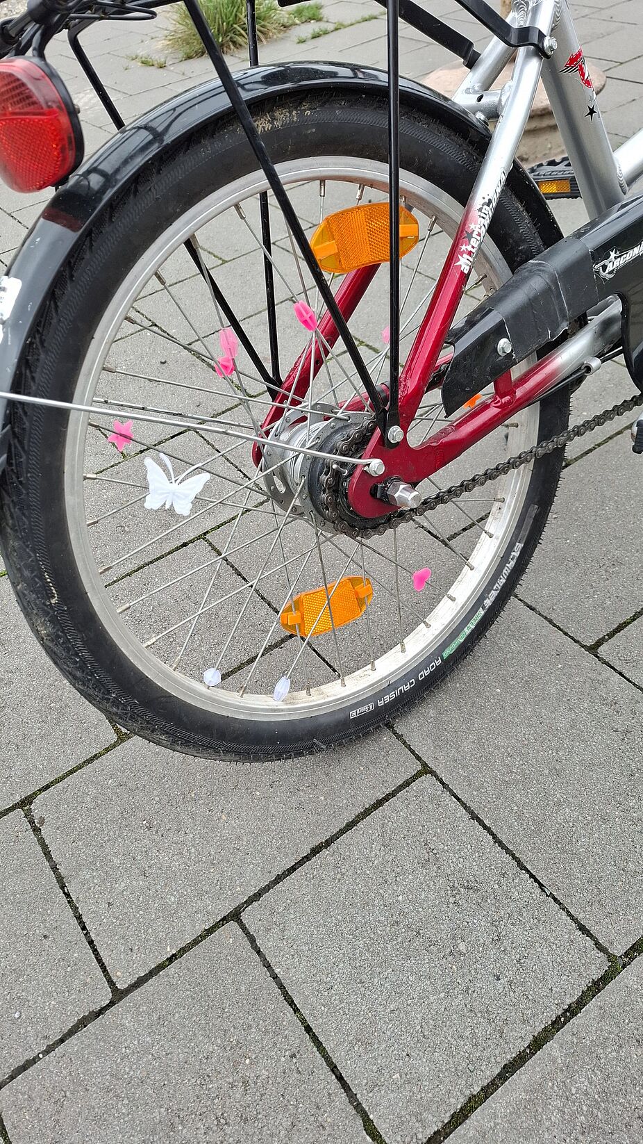 pinp up my Bike pinp up my Bike